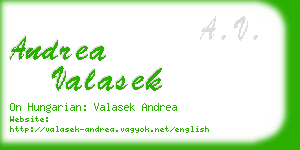 andrea valasek business card